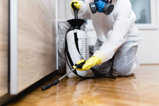 Best Insect Control  in Atkinson, IL