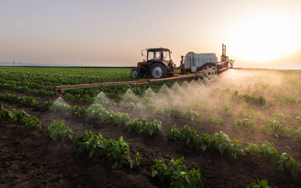 Best Pest Removal Services  in Atkinson, IL