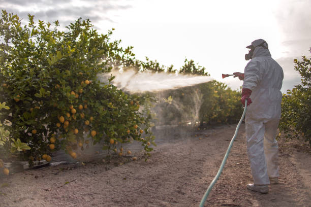 Best Exterminator Services  in Atkinson, IL