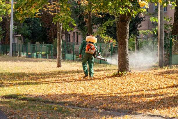 Best Exterminator Services  in Atkinson, IL