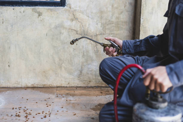 Best Mosquito Control Services  in Atkinson, IL